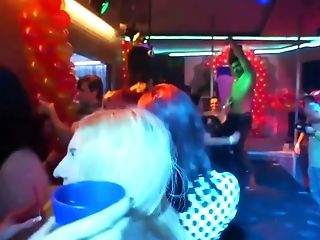 Crazy Women And Horny Guys Are Doing All Kinds Of Sexy Stuff, In The Night Club